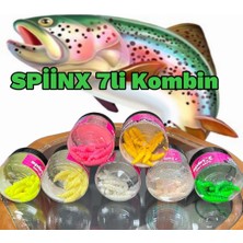 Spiinx Larva 7 Kutu 35MM Peynirli