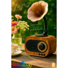 Feyza Design Mini Nostalgik Radyo ve Bluetooth Speaker, USB ve Sd Kart Destekli