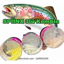 Spiinx Larva 3 Kutu 35MM Peynirli