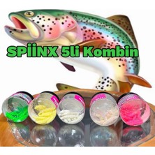 Spiinx Larva 5 Kutu 35MM Peynirli