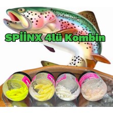 Spiinx Larva 4 Kutu 35MM Peynirli