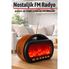 Feyza Design Nostaljik Radyo Şömineli Bluetooth Hoparlör, Powerbank ve USB Type-C Şarjlı