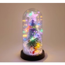 Hayat Store Yılbaşı Temalı Işıklı  Dekoratif Cam Fanus ALK5077