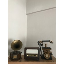 Feyza Design Nostaljik Metal Radyo ve Gramofon Dekoratif Bluetooth USB Fm Ses Cihazı