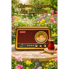 Feyza Design Ahşap Görünümlü Nostaljik Bluetooth USB Tf Kart Fm Radyo Radyo