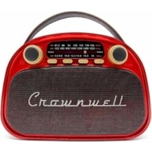 Feyza Design Taşınabilir Retro Bluetooth Radyo, Arizona Serisi, Şık ve Pratik Kullanım