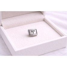 Youday Accessories Çelik Nomination Charm Koç Burcu | Paslanmaz Çelik Bileklik Charmı | Burç Temalı Şık Takı