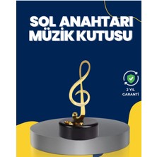 Feyza Design Altın Renkli Döner Mekanizmalı Müzik Kutusu, Zarif ve Şık Dekorasyon Parçası