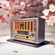 Feyza Design LED Işıklı Bluetooth Radyo, Nostaljik Tasarım, Şık ve Kullanışlı Ses Cihazı