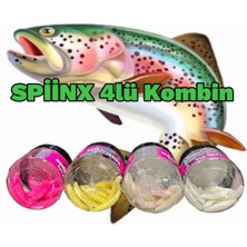 Spiinx Larva 4 Kutu 35MM Peynirli