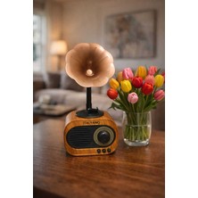 Feyza Design Gramofon Tasarımlı Nostaljik Bluetooth Radyo ve Hoparlör