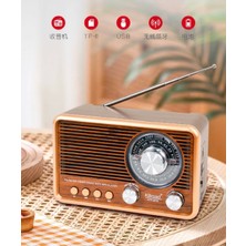 Feyza Design Retro Taşınabilir Radyo, Bluetooth, USB ve Renkli Işık Özellikleriyle