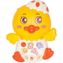 Hayat Store 855-144A - Ördek Org Işıklı Sesli  (Lisinya)