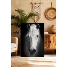 Mushen Studio Beyaz At Portresi Tablo - Siyah Beyaz Zarif At Yakın Çekim Duvar Sanatı