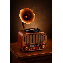 Feyza Design Nostaljik Gramofon Görünümlü Bluetooth Hoparlör, USB Tf Aux, Type-C Şarj