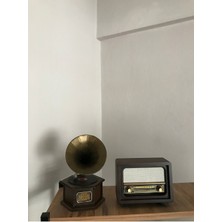 Feyza Design Nostaljik Metal Radyo ve Gramofon Dekoratif, Bluetooth, Usb, Fm Özellikli