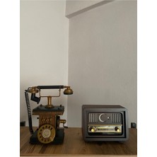 Feyza Design Nostaljik Metal Radyo, Bluetooth, USB ve Fm Dinleme Keyfi, Dekoratif Tasarım
