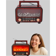 Feyza Design Solar Şarjlı Işıklı Bluetooth Hoparlör ve Radyo, USB ve Tf Kart Desteği