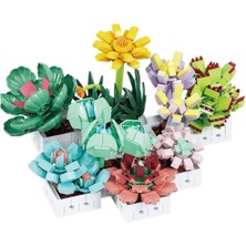 isiltikidsmoda Sukulent Çiçek Buketi 8842