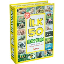 isiltikidsmoda 1352FLASHCARDSİLK50HAYVAN-DIYTOY