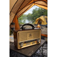 Feyza Design RT-785 USB Am/sw/fm Bluetooth Nostalji Radyo, Büyük Boy, Taşınabilir