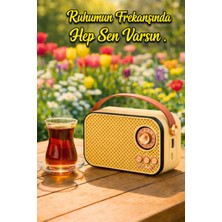 Feyza Design Mini Nostaljik Radyo ve Bluetooth Hoparlör, Tf Kart ve USB Destekli