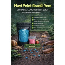 Koruma Salyangoz Sümüklü Böcek Sülük Kovucu Mavi Granül Yem 1 kg