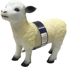 isiltikidsmoda Çiftlik Hayvanları