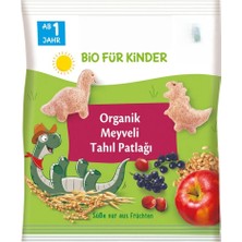 isiltikidsmoda Organik Meyveli Tahıl Patlağı 30 gr