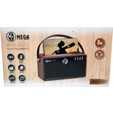 Feyza Design Şarjlı Bluetooth Nostaljik Radyo, USB ve Sd Kart Desteğiyle Müzik Keyfi