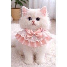 Feyza Design Şık ve Rahat Kedi Yakalık, Güvenle Kullanım Için Tasarlandı