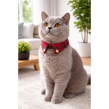 Feyza Design Ekose Kedi ve Küçük Irk Köpek Gömlek Yaka, Şık ve Konforlu Tasarım