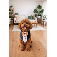 Feyza Design Mini Smokin Köpek ve Kedi Için Şık Tüy Yakan Tasarım