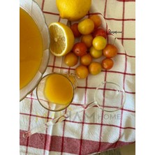 Makkam Home | Şeffaf Cam Servis Kepçesi: Uzun Saplı, Çorba Kaşığı, Şeffaf Kepçe, Kahve, Çay, Dondurm