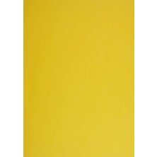 Adel Fon Kartonu, 25X35, Karışık, 10'lu