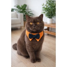 Feyza Design Turuncu Renkli Şık Papyonlu Yaka Detayı, Tarzınızı Tamamlar