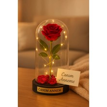 MiraLive Canım Annem Temalı  Anneye Hediye LED Işıklı Mika Fanus Kırmızı Yapma Solmayan Gül