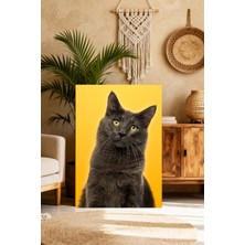 Mushen Studio Sarı Fonlu Gri Kedi Portresi Tablo - Yeşil Gözlü Sevimli Kedi Duvar Sanatı