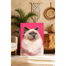 Mushen Studio Pembe Fonlu Ragdoll Kedi Portresi Tablo - Mavi Gözlü Sevimli Ragdoll Kedi Duvar Sanatı