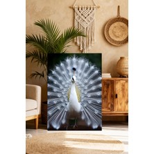 Mushen Studio Beyaz Tavus Kuşu Portresi Tablo - Gururlu Tüy Açmış Lüks Duvar Sanatı