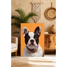 Mushen Studio French Bulldog Portresi Tablo - Turuncu Fonlu Sevimli Fransız Bulldog Duvar Sanatı