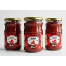 3lü Set Organicasa Organik Domates Salçası 660 gr