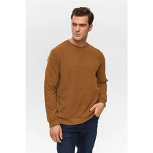 Süvari Koyu Kahve Regular Düz Bisiklet Yaka Sweatshirt