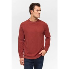 Süvari Açık Kahve Regular Düz Bisiklet Yaka Sweatshirt