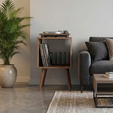 DEQQU Arte 44X44X80CM Ahşap Retro Pikap Sehpası, Metal Raflı Plak Organizer, Plak Düzenleyici, Plak Dolabı