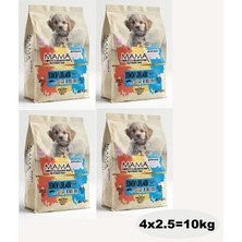Mamavita Somonlu Yavru Kuru Köpek Maması 10 kg (4x2.5)