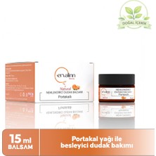 Ervalinn Dudak Balsamı (Lip Balm) Nemlendirici Besleyici Onarıcı 15 ml ( Portakallı )