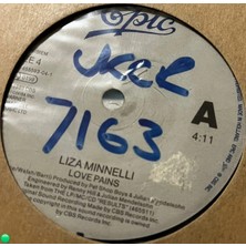 Plakantik Liza Minnelli - Love Pains / Love Pains (Steve Hurley's Radio Edit) 45'lik Plak