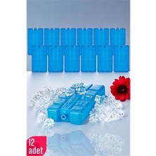 Epilons Mey Ithalat® Buz Aküsü Buz Kasedi 12 Adet