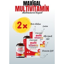 Maxigal Multivitamin, Multimineral Kapsül Takviye Edici Gıda 30 Kapsül x 2